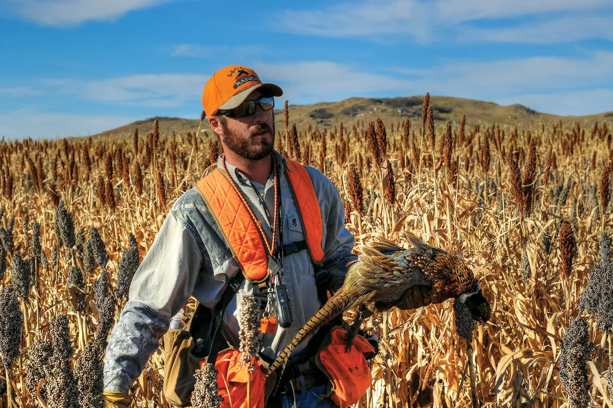 Pheasant Hunting in South Dakota