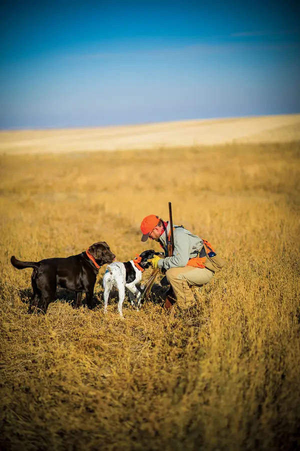 Grossenbacher-3095-600