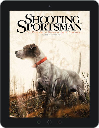 Shooting Sportsman