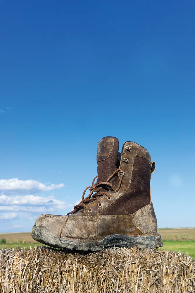danner sharptail