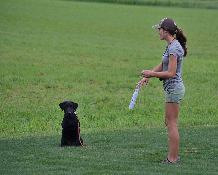 Retriever Training