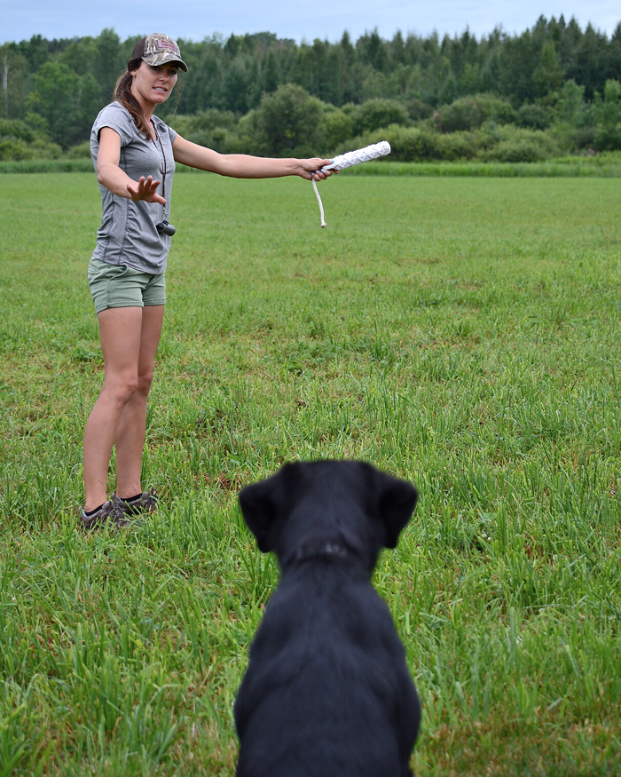 Retriever Training