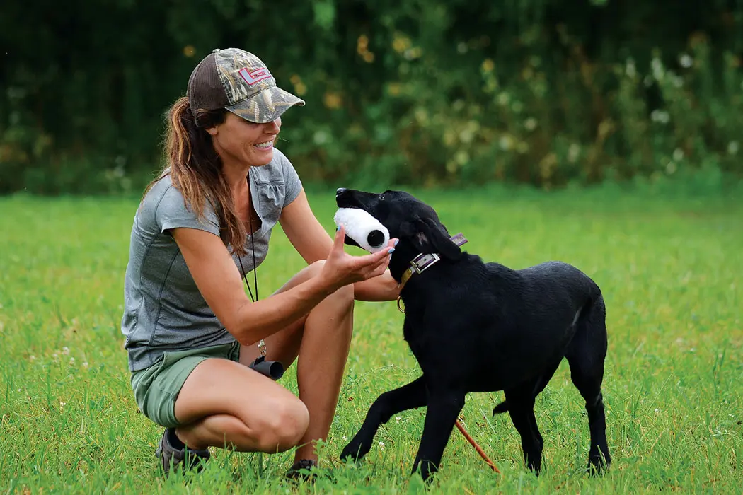 Hunting Dogs