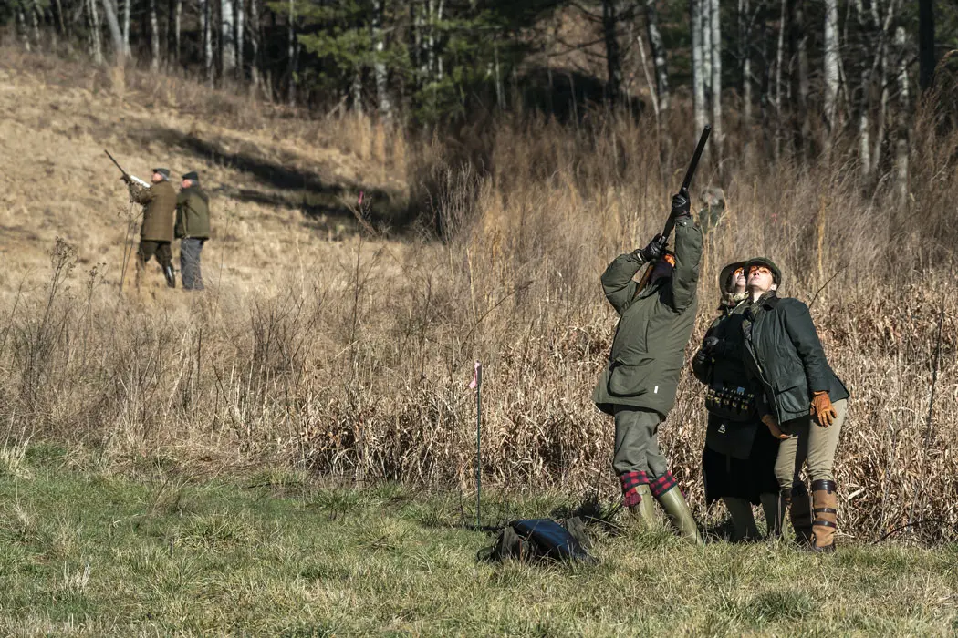 Group of three wingshooting