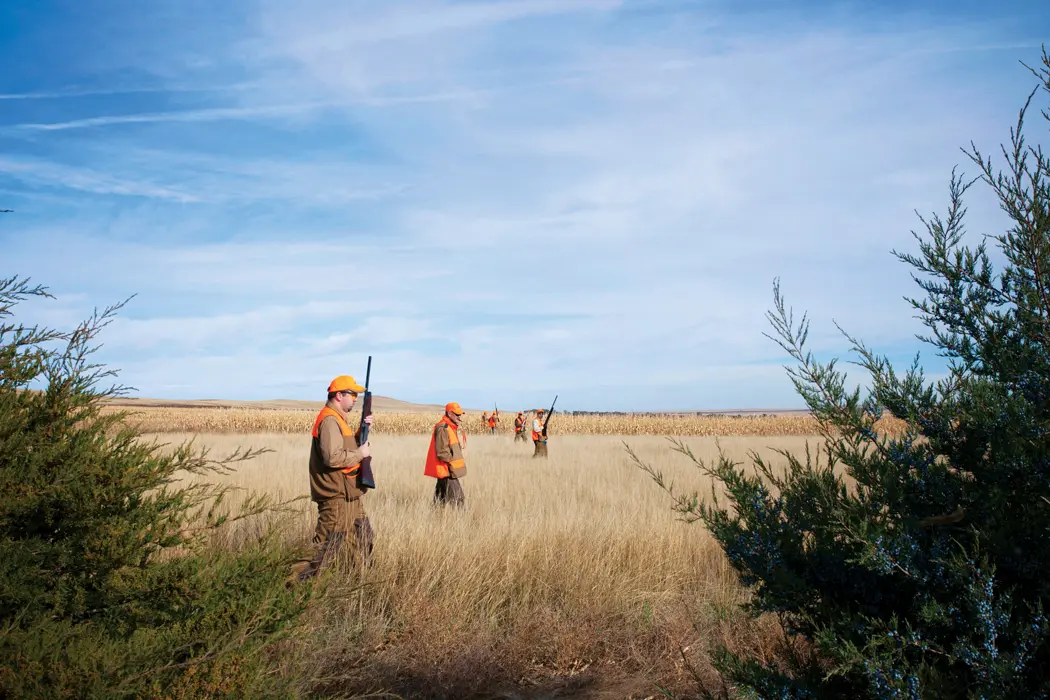 Men hunting in large field