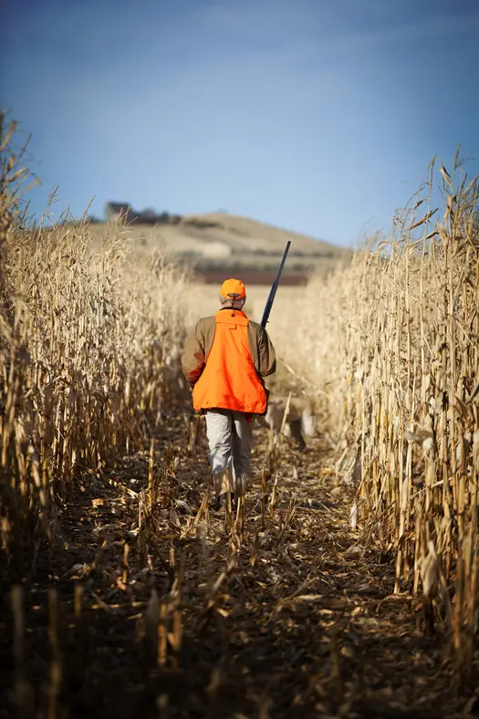 Man walking through field