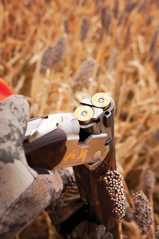 open gun