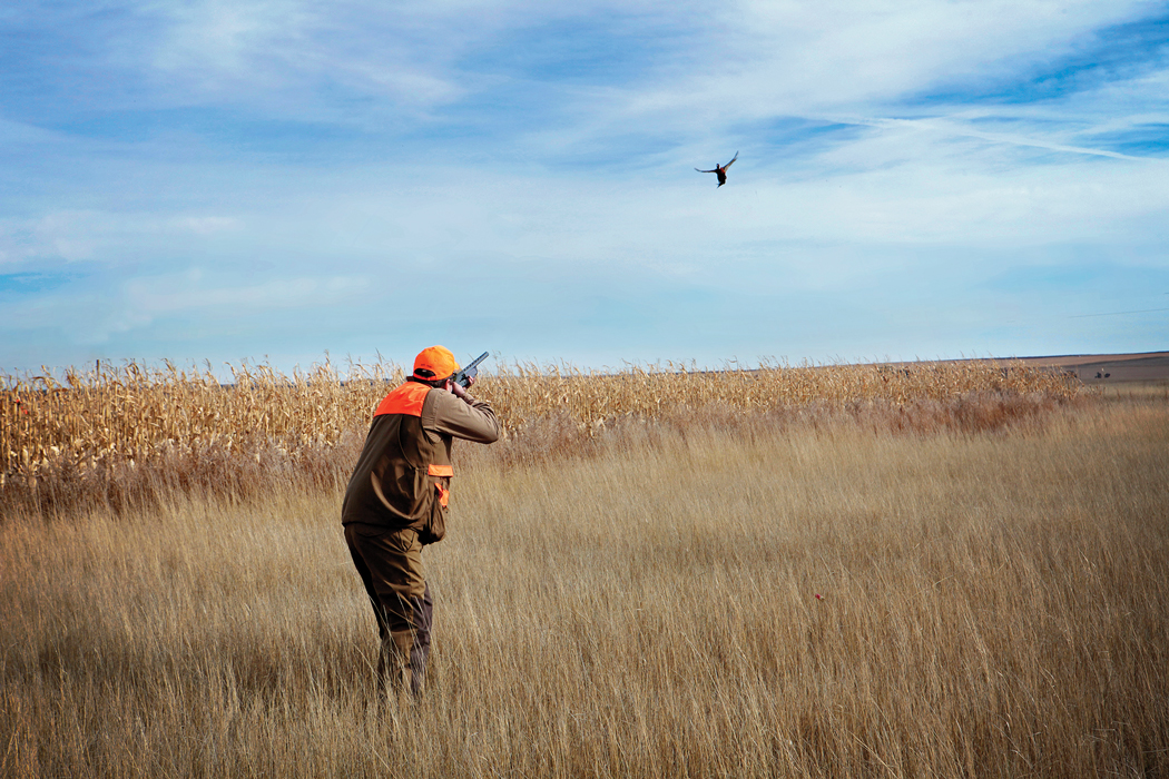 man shooting flying pheasant