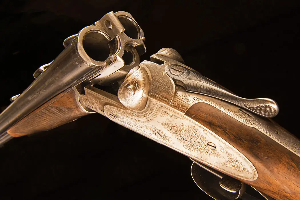 Gun
