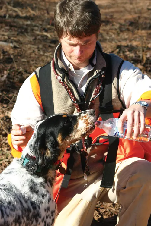 man watering dog