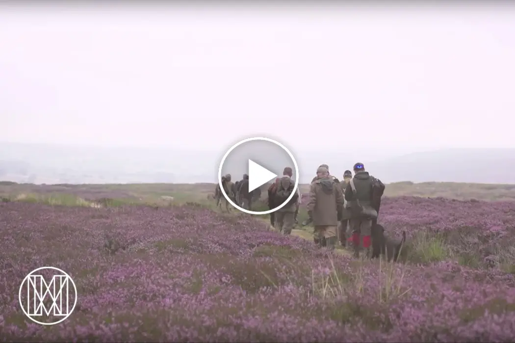 Grouse Shooting Video
