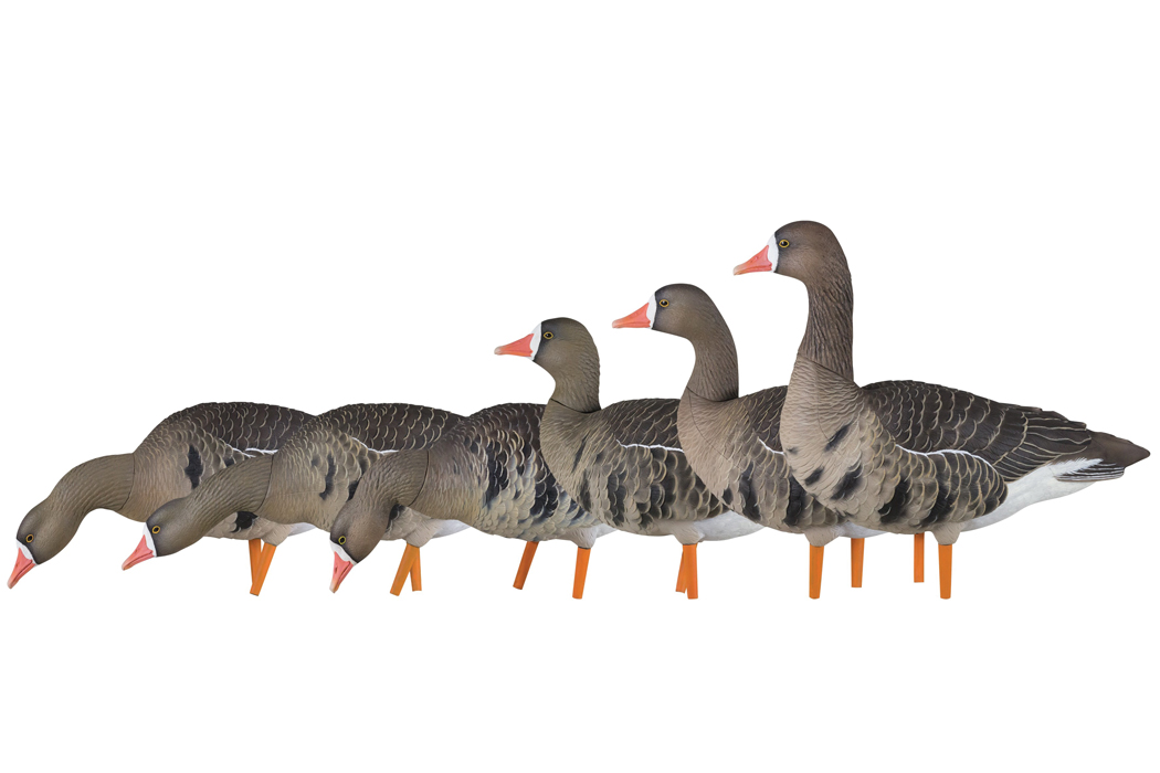 Avian-X AXP Specklebelly Decoys