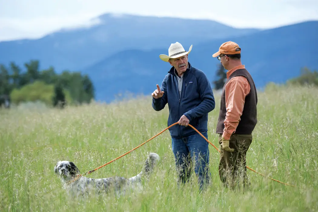 Dog Training