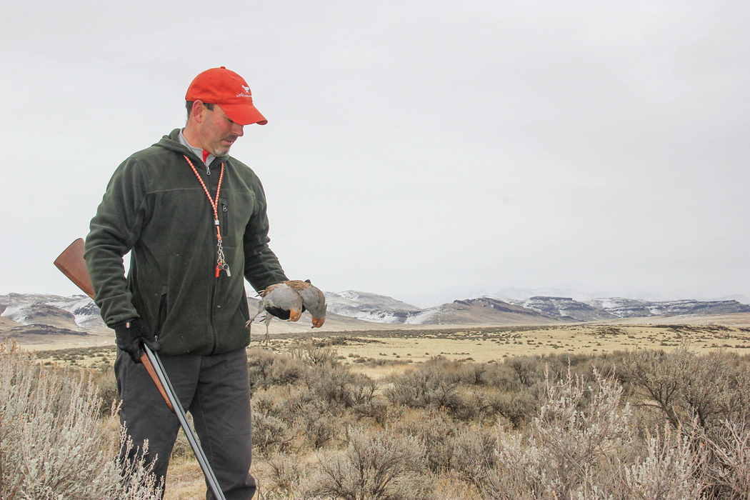 Tom Loy with Hungarian partridge