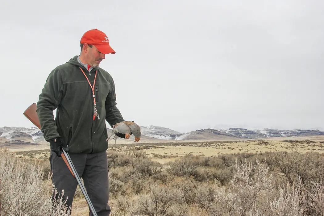 Tom Loy with Hungarian partridge