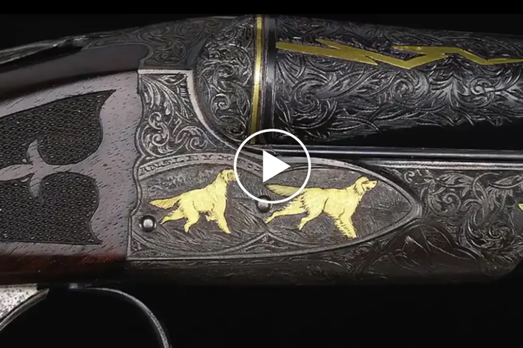 20 Bore A.H. Fox