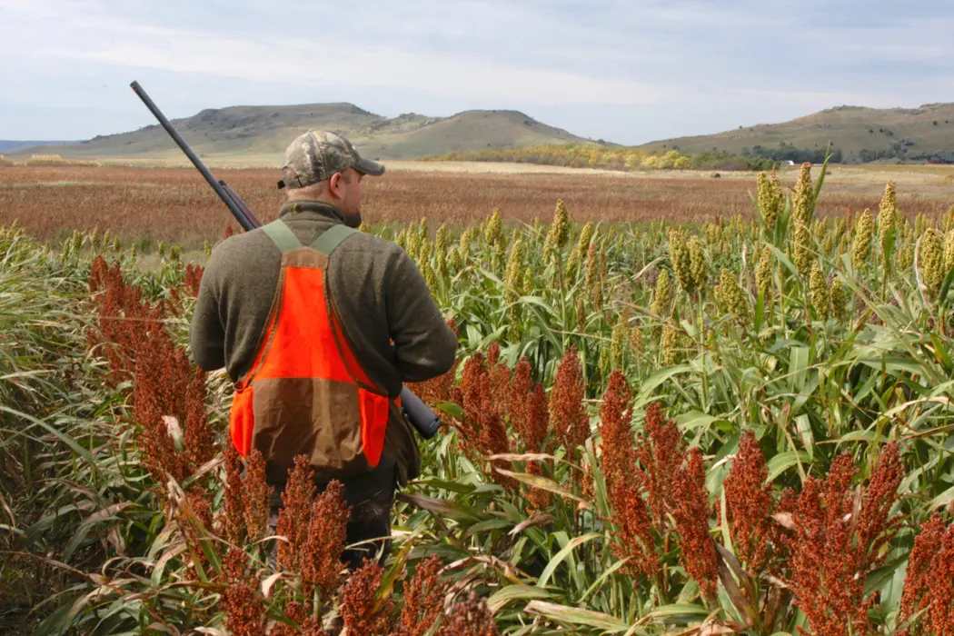 Gearing Up for the Farm Bill