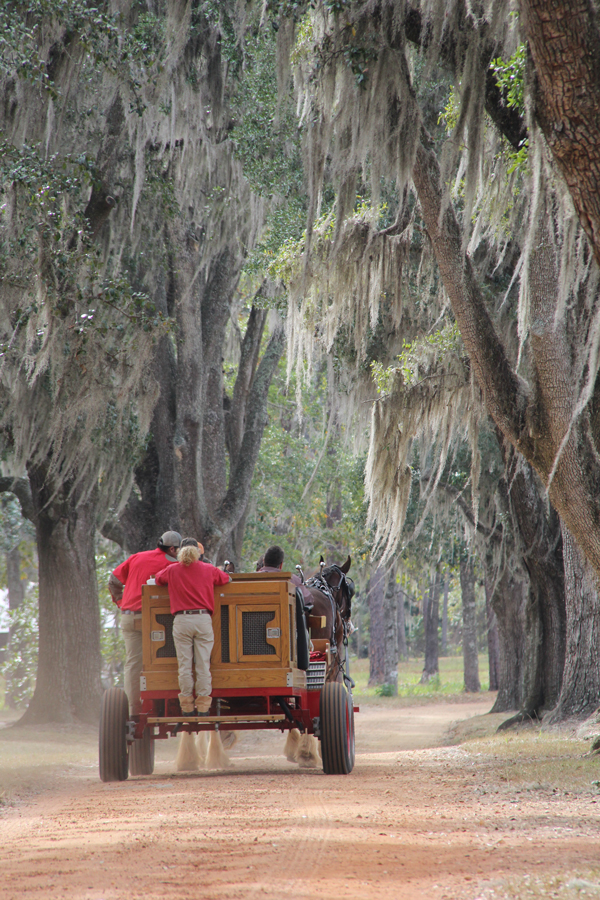 Kevin’s Southern Game Fair
