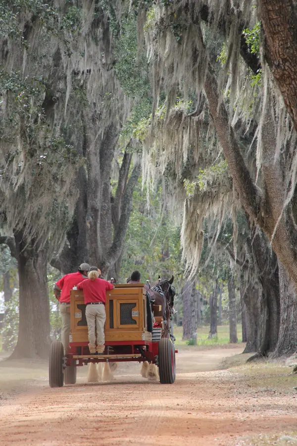 Kevin’s Southern Game Fair