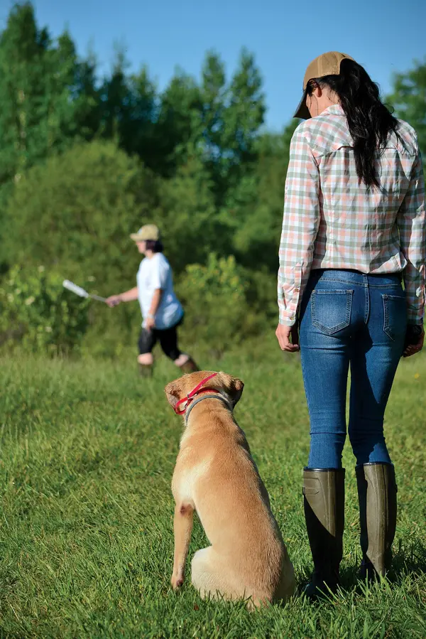 Helping Your Retriever