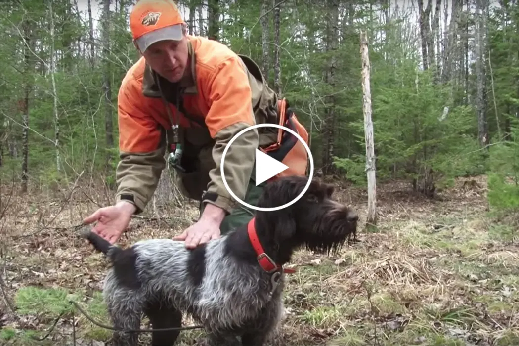 Training Steadiness with Jason Carter Part 2