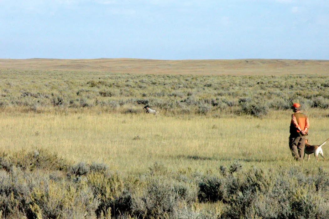 The American Prairie Reserve