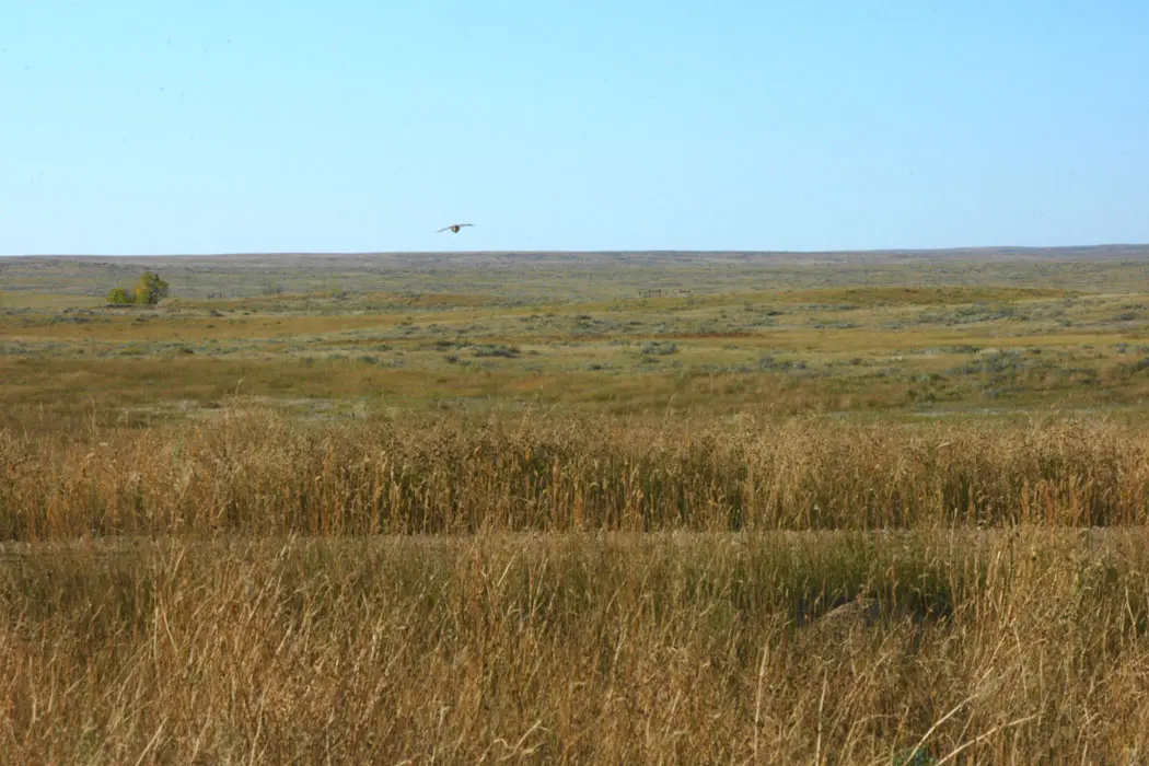 The American Prairie Reserve