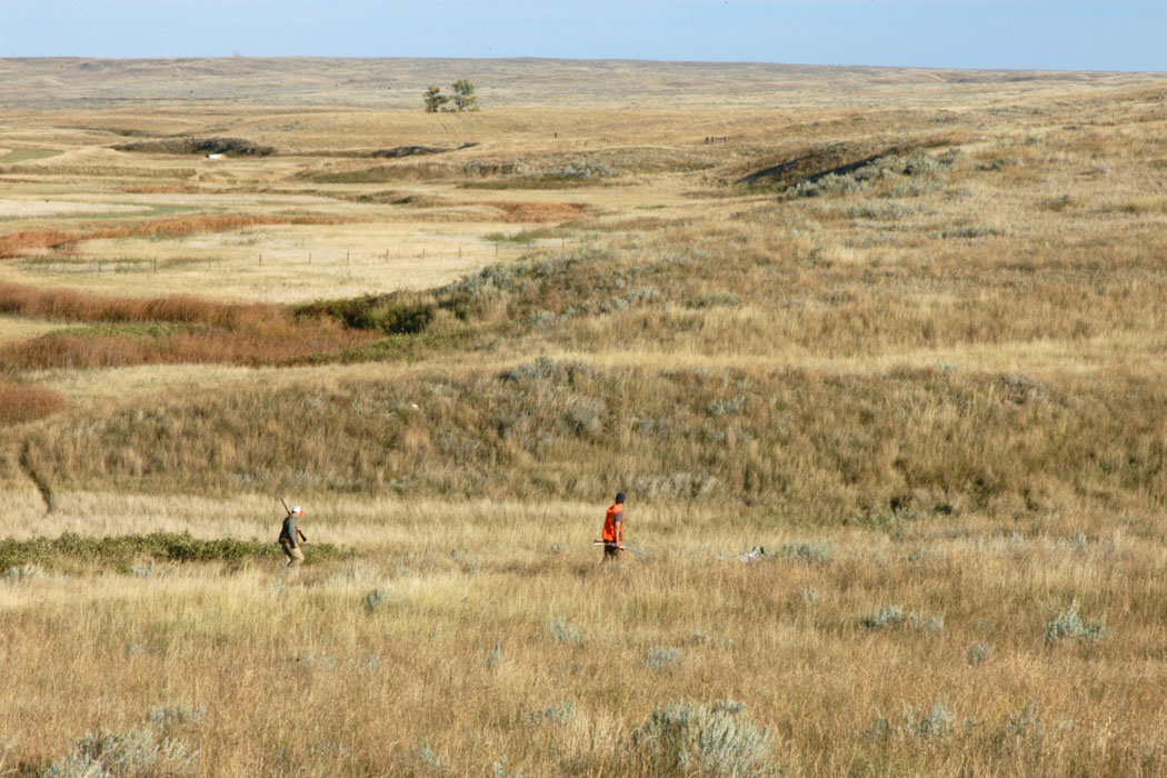 The American Prairie Reserve