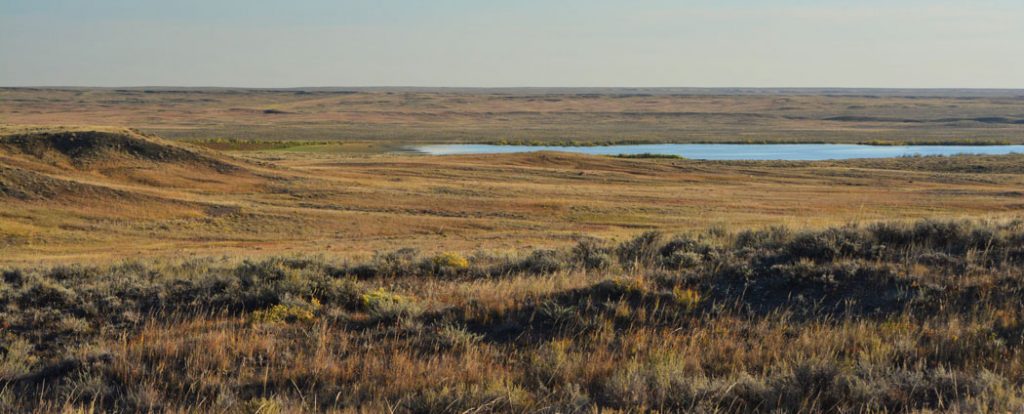 The American Prairie Reserve