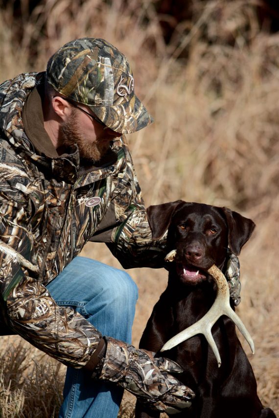 Bird dog with antler