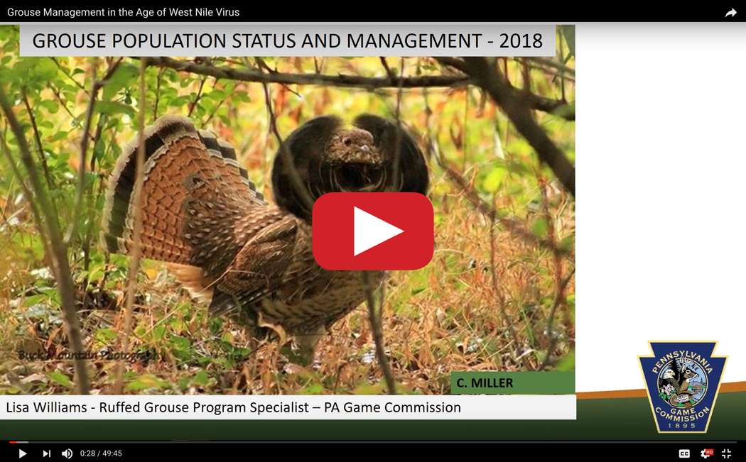 Conservation Grouse & West Nile Virus