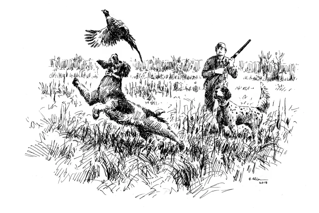 Illustration by Gordon Allen