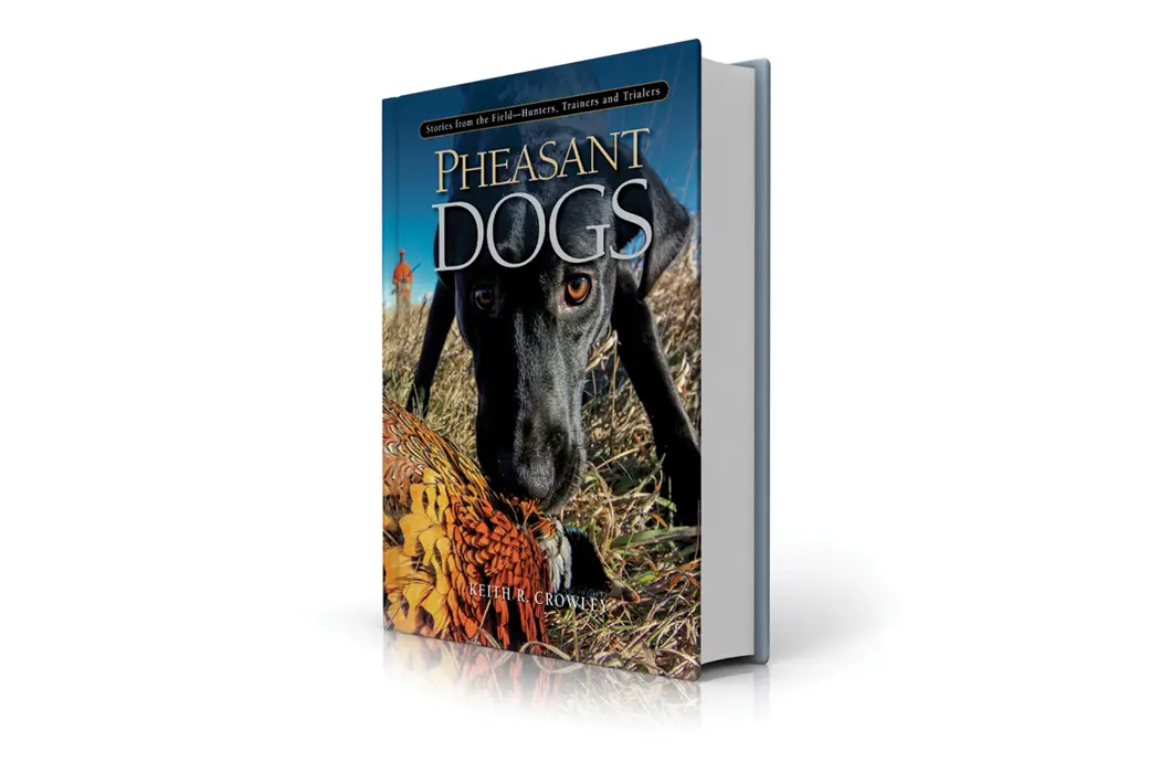 Pheasant Dogs