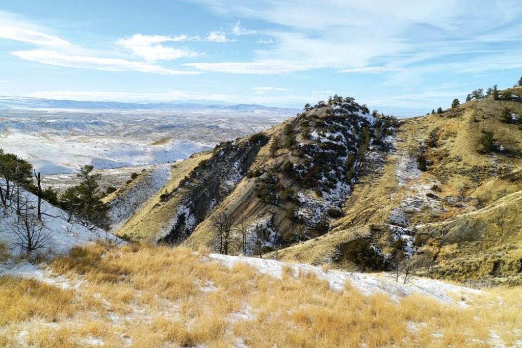Chukars of Late