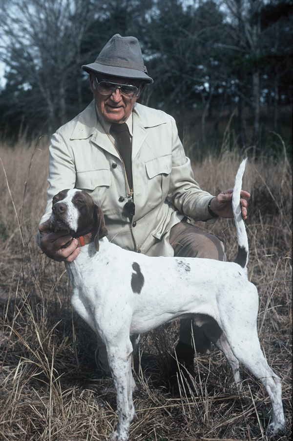 Elhew pointer puppies for 2024 sale