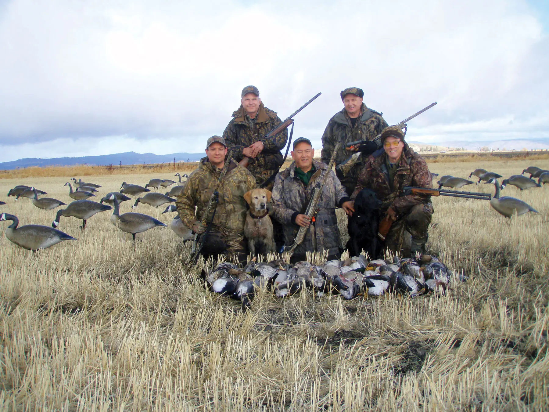 Klamath Basin Waterfowl