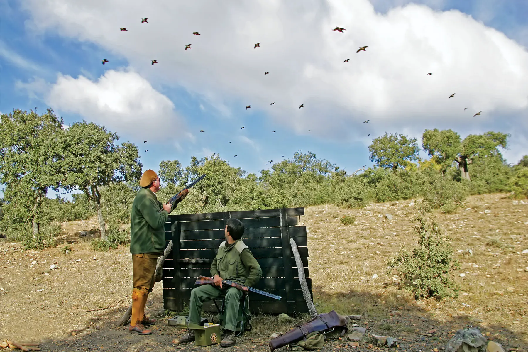 Prized Places Prized Places