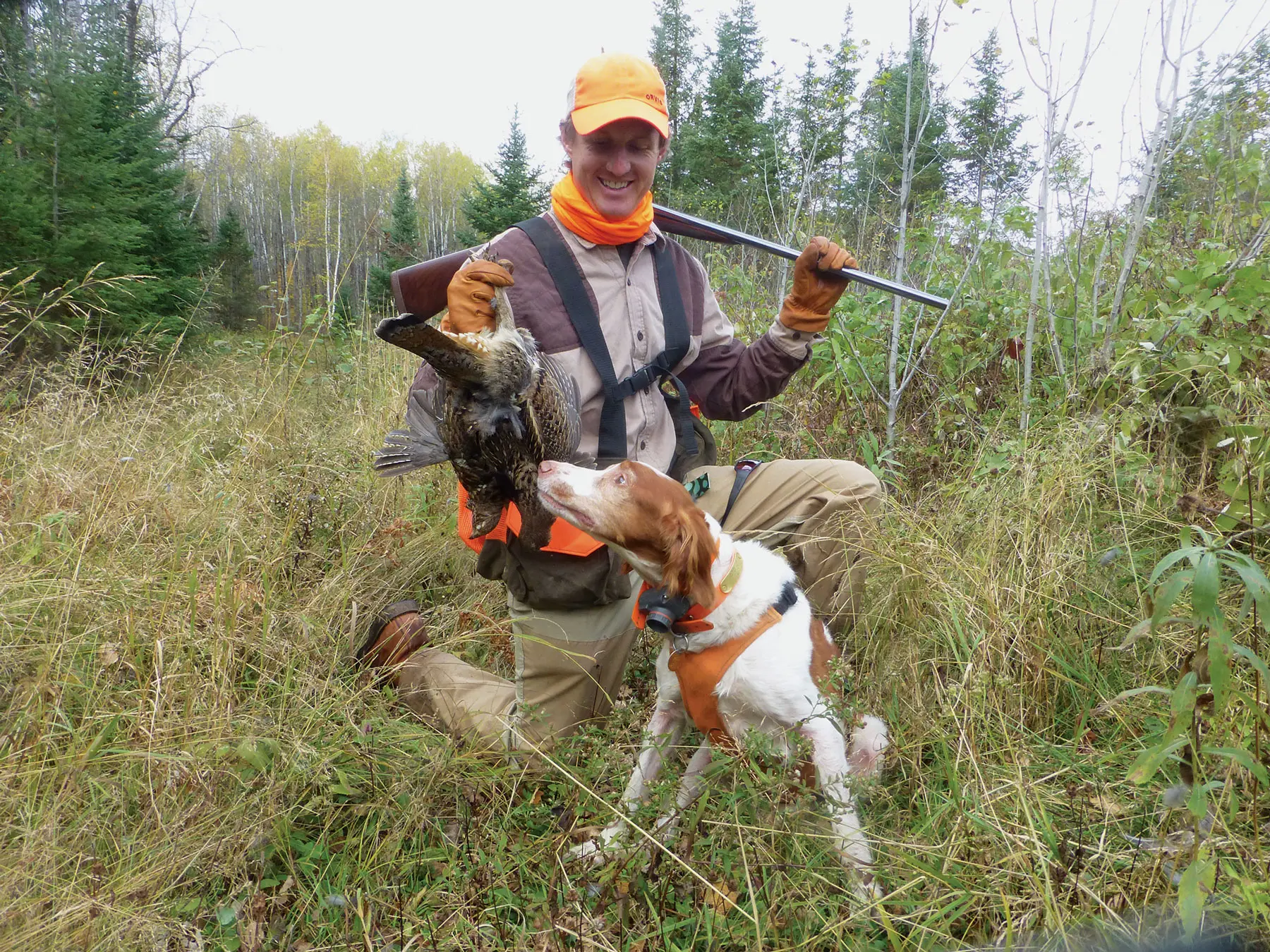 Wisconsin Grouse