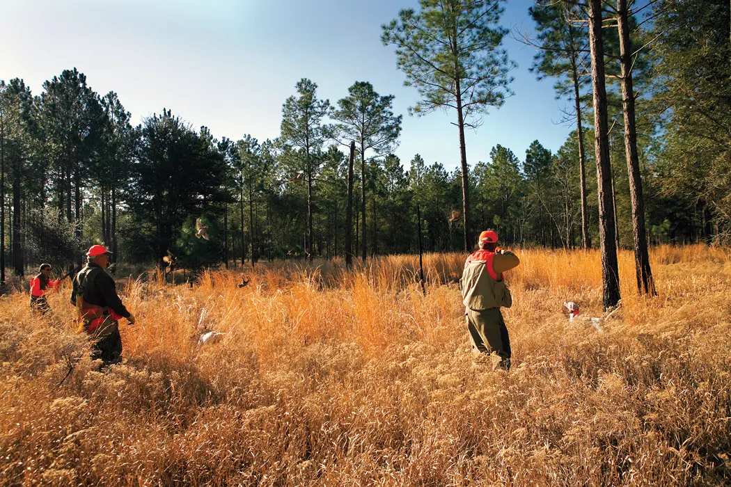 2019 Readers & Writers Adventures Announced