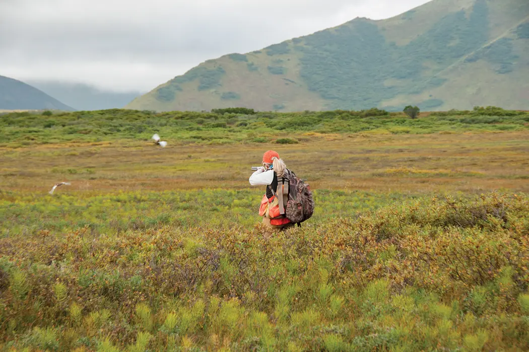Alaska Grouse