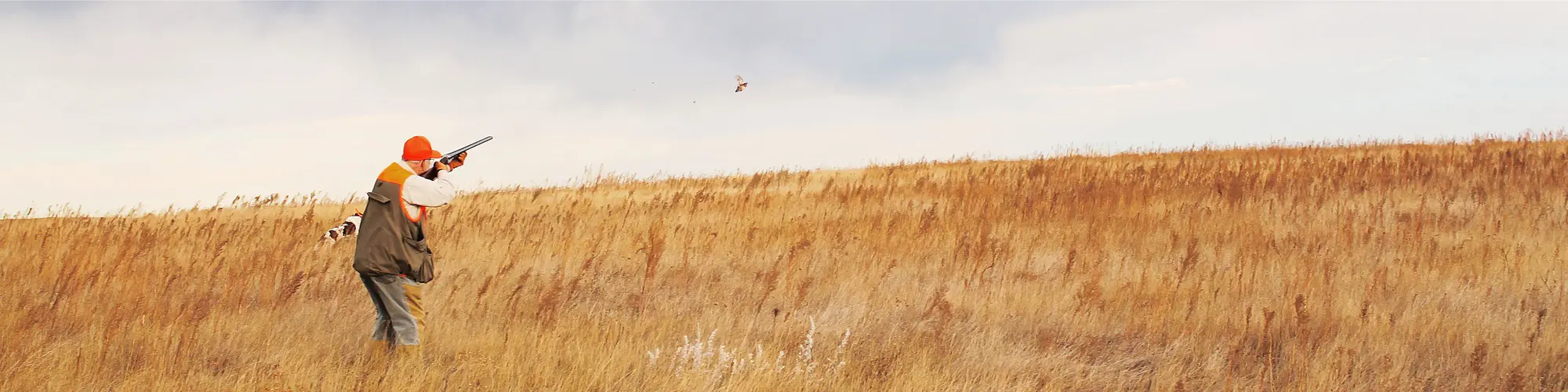 shooting_sportsman_endorced_lodge_hero_5 shooting_sportsman_endorced_lodge_hero_5