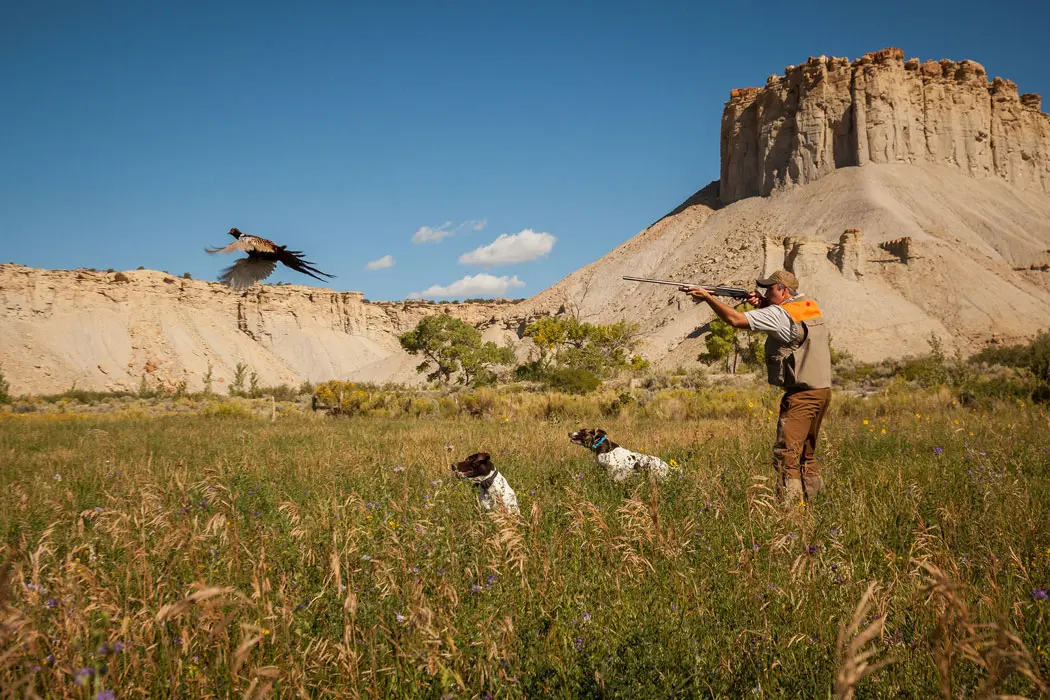 Castle Valley Outdoors