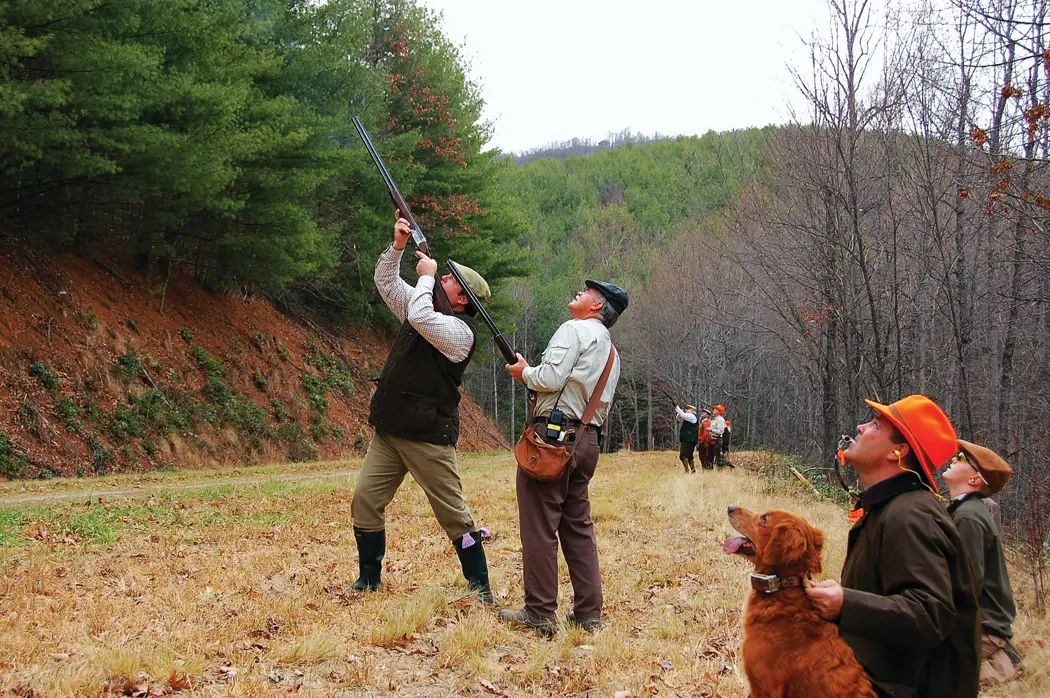Pheasants of Primland