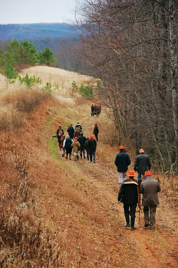 Pheasants of Primland