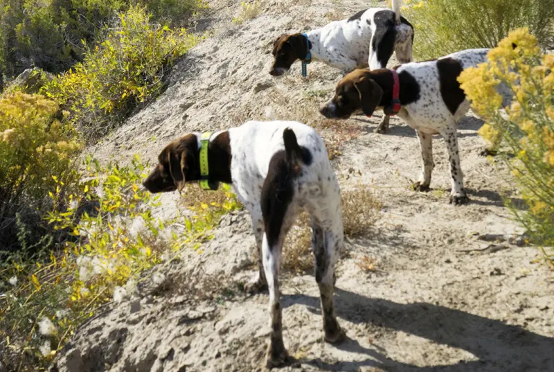 castle_valley_outdoors_gallery_07 Castle Valley Outdoors