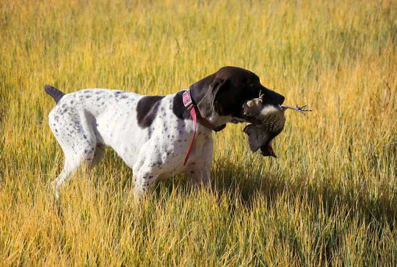 castle_valley_outdoors_gallery_09 Castle Valley Outdoors