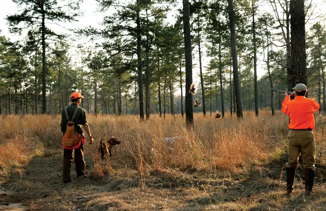 Rio Piedra Plantation