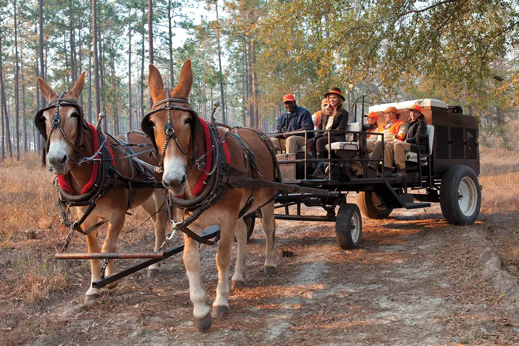 The New Face of Hunting