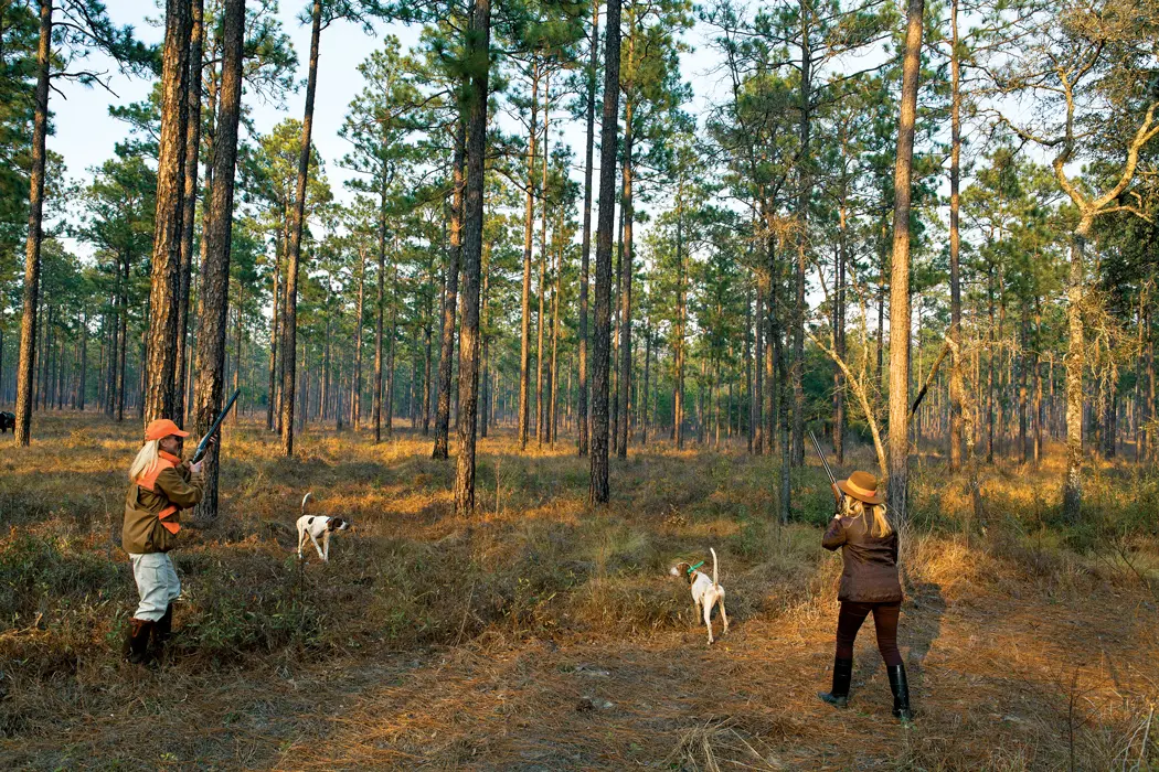The New Face of Hunting