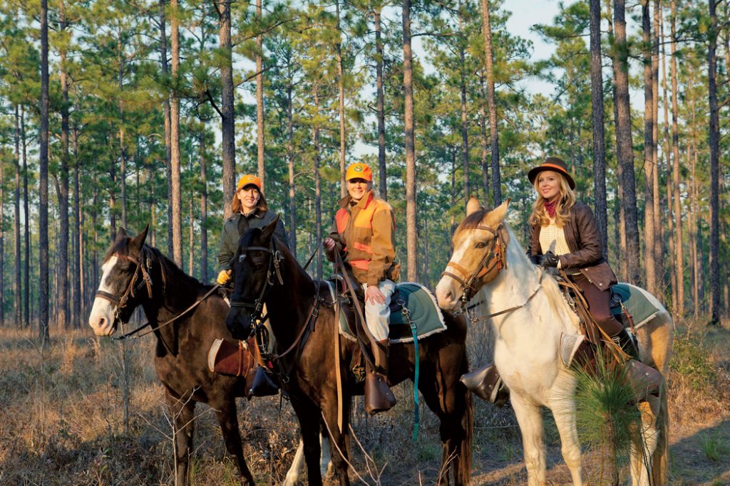 The New Face of Hunting
